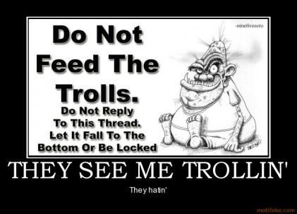 they-see-me-trollin-trollin-hatin-internet-troll-demotivational-poster-1284530427.jpg